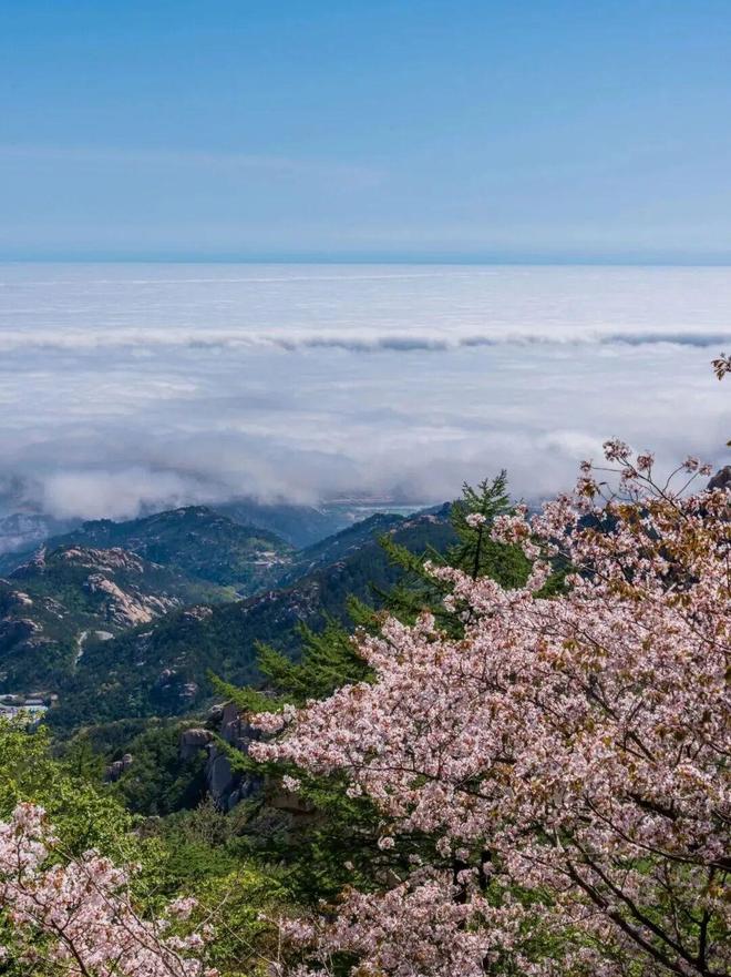 孙千颐最新视频海报