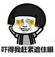 啄木鸟新片 鸟新才算“更有洞见”海报